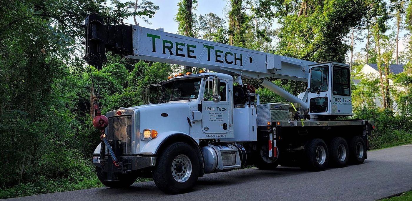 Tree Tech crane truck with the boom stowed on a wooded Louisiana lane