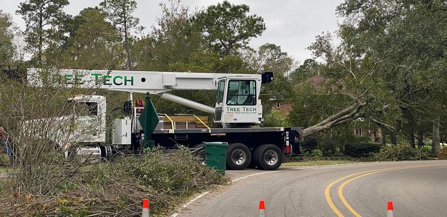 Tree Tech crane truck set up for a roadside tree removal