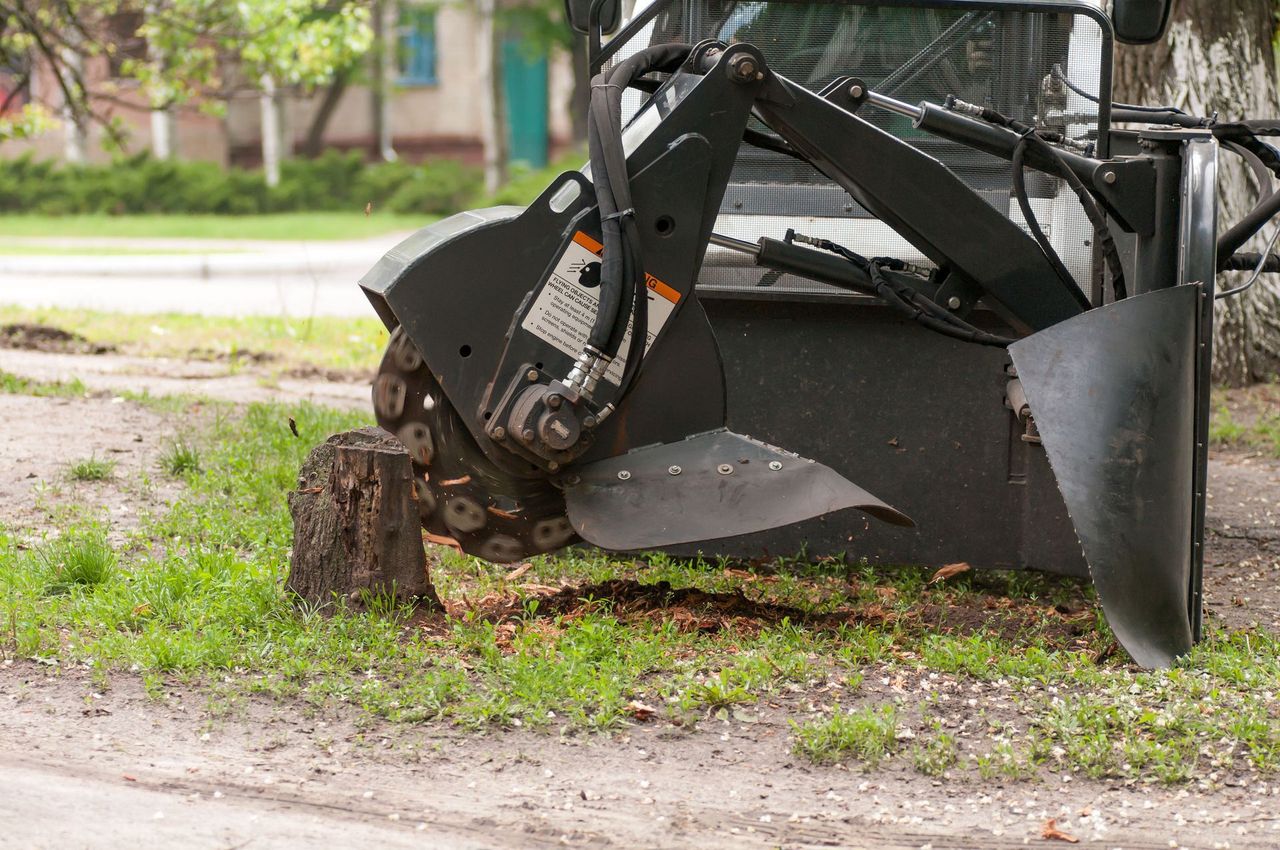 Stump grinder cutting a remnant on a grassy Louisiana lot