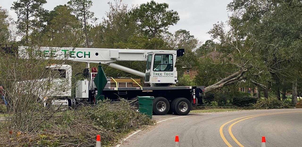 Tree Tech crane truck loaded with a felled limb on a residential road